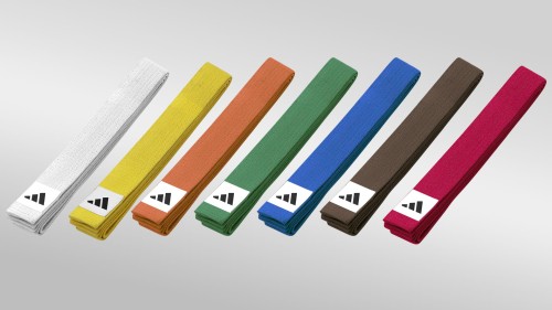 adidas_pasy_kolor.jpg
